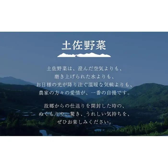 旬の土佐野菜セット 旬の詰め合わせ小セット 6回定期便 野菜