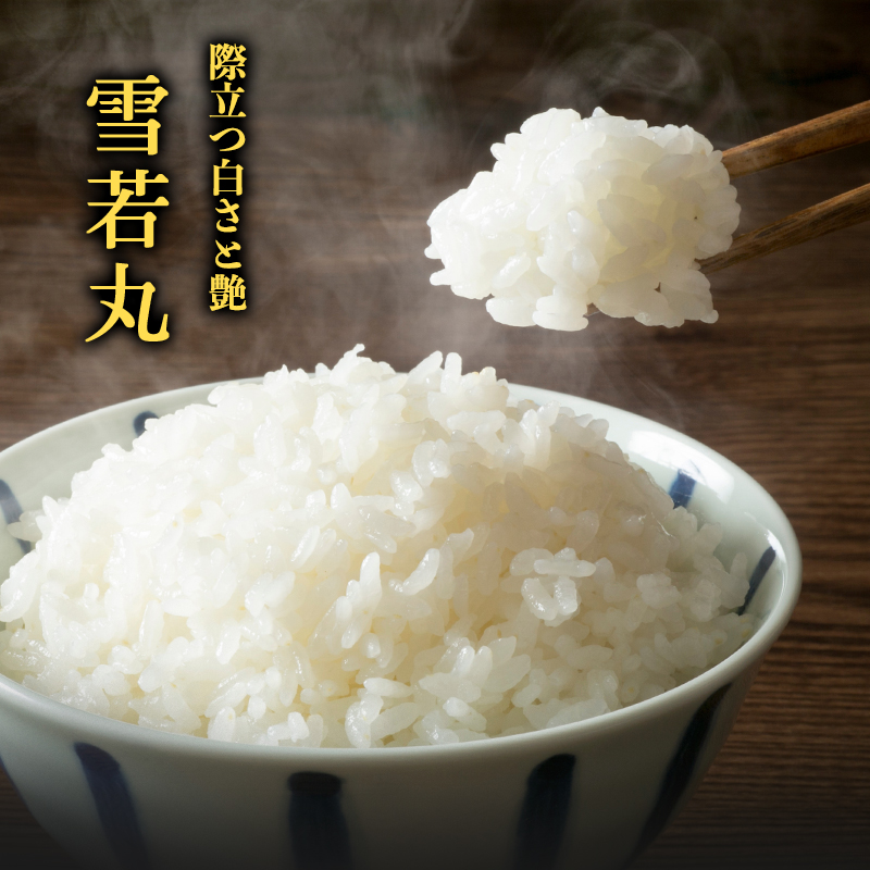 【無洗米】令和7年産 雪若丸 5kg×1袋 山形産【2025年10月中旬頃より順次配送予定】2025年産 山形県産　018-C-SR007