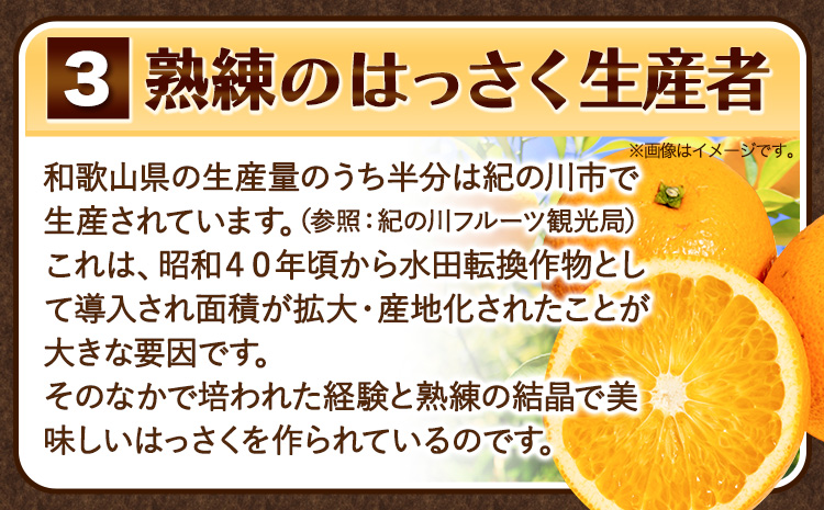 訳あり サイズ不選別 早生･晩生指定不可 はっさく 約9kg (4L~Sサイズ)《2026年2月上旬-3月中旬頃出荷》和歌山県 紀の川市 八朔 柑橘 果物 フルーツ ご家庭用 ビタミンC 果肉 みかん