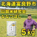 【ふるさと納税】【毎月定期便】北海道富良野市産ななつぼし 精米 5kg全6回【4056475】