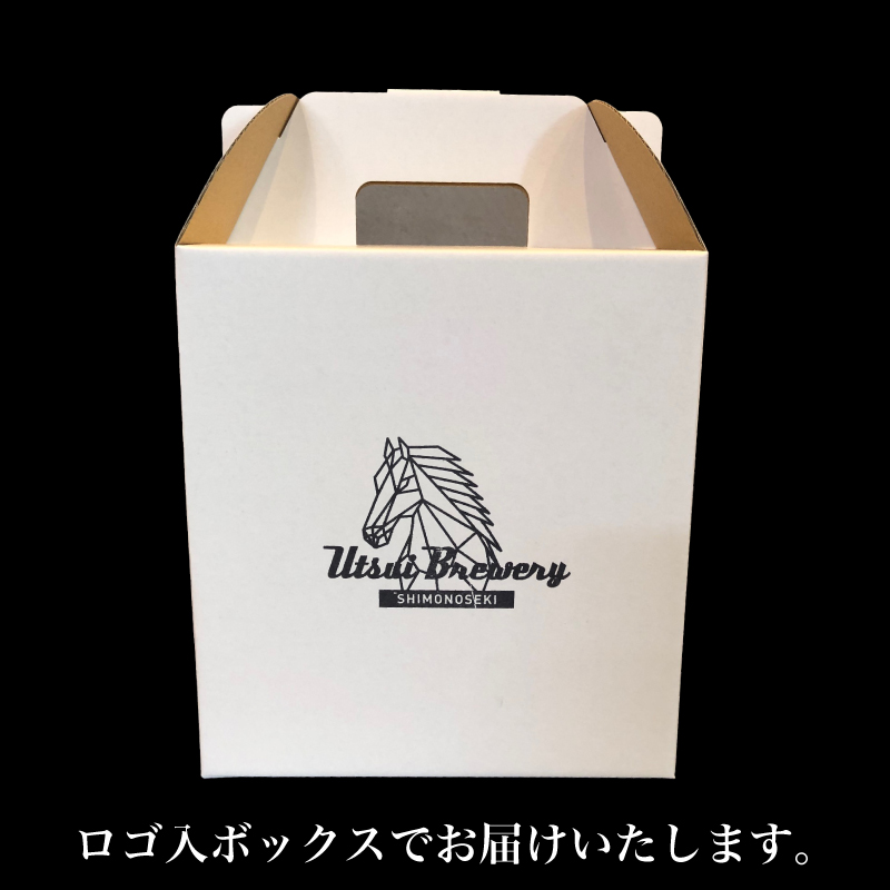 クラフトビール6本セット 馬関クラフト utsuibrewery うついブルワリー 内日ブルワリー 下関 山口