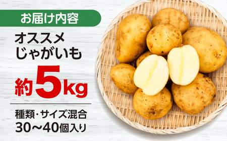 【先行予約】じゃがいも 5kg CGM003 じゃがいも おまかせ