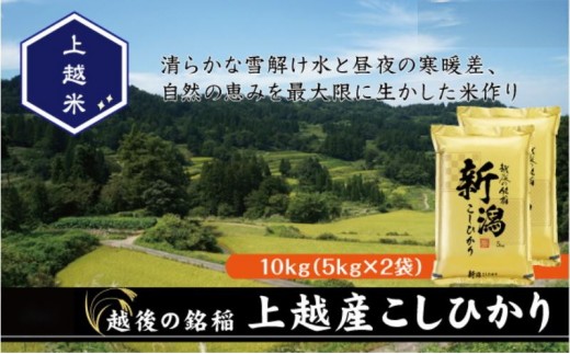 令和7年産 新潟県上越産こしひかり 精米 10kg 上越市 米 コメ コシヒカリ ファインリョーコク