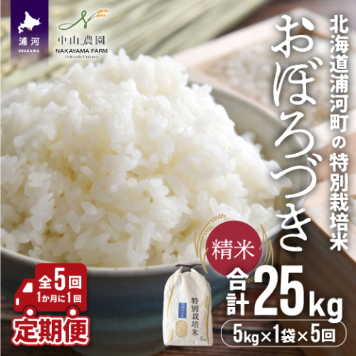 【新米発送！】北海道浦河町の特別栽培米「おぼろづき」精米(5kg×1袋)定期便(全5回)[37-1147]