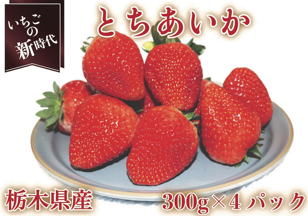 
[先行予約・いちごの新時代] とちあいか4パック1200g (12月中旬より順次発送予定) [0424]
