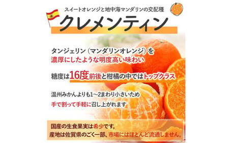 山本農園のクレメンティン 3kg 【2027年1月下旬～3月上旬】 クレメンティン みかん 柑橘 国産 オレンジ マンダリン 希少 ジューシー くだもの 果物 フルーツ 新鮮 贈り物 ギフト 佐賀県 