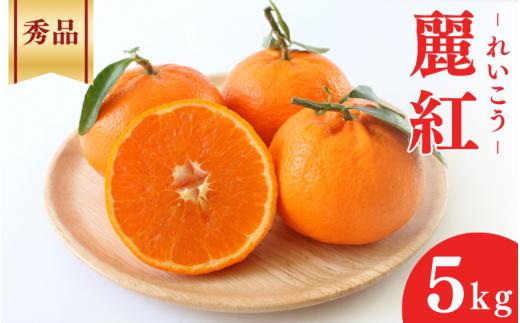 
                  ＜先行予約＞麗紅【秀品】5kg ※2027年2月下旬～3月下旬頃順次発送予定【期間限定・数量限定】 / 柑橘 季節限定 お取り寄せ 産地直送 贈答品 ギフト 果物 フルーツ 田辺市 和歌山県【ymh006-1】
                