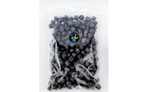 ＜令和8年8月以降出荷＞＜北海道十勝産 希少品種＞冷凍ブルーベリー500g×1袋【1677071】