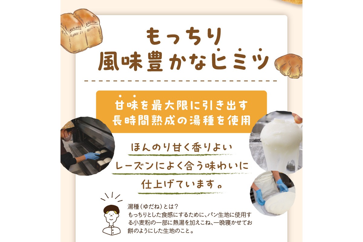 京都丹後　パンドミレーズン　3斤（4枚切り12枚）　BT00006