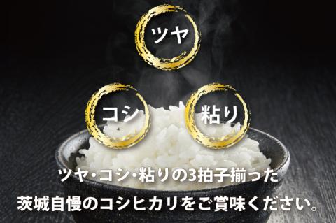 令和5年産 茨城 コシヒカリ 10kg (5㎏×２袋) 米 お米 おこめ 白米 ライス ご飯 精米 こしひかり 国産 茨城県産