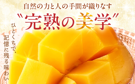マンゴー 完熟 マンゴー[訳あり 宮崎 3L 4玉 La Brilliant Mango 自宅用]