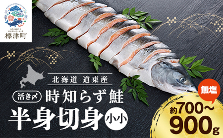 北海道道東産　活き〆時知らず鮭半身切身(小小)約700-900g 北海道 人気 おすすめ さけ 天然_サケ しゃけ ときしらず トキシラズ 冷凍 真空パック 個包装 小分け 鮭切身 切り身 無塩 サーモン_【配送不可地域：離島】【AF043】