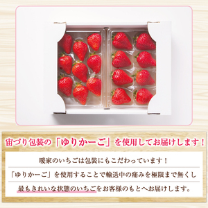 【ふるさと納税】暖家のいちご 完熟あまおう 贈答用4パック [a9405] 社会福祉法人猪位金福祉会 暖家の丘 ※配送不可：北海道・沖縄・離島【返礼品】添田町 ふるさと納税
