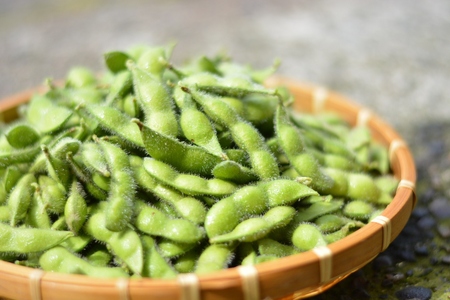 【夏季限定】 朝採り 即冷蔵 新鮮 阿賀野市産 えだまめ 「えんだま」 2kg (250g×8袋) 7月より順次発送 枝豆 つまみ 期間限定  2P03014