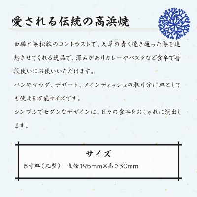 ふるさと納税 天草市 高浜焼寿芳窯　復刻デザイン皿(6寸皿)2個セット_S026-019 |  | 03