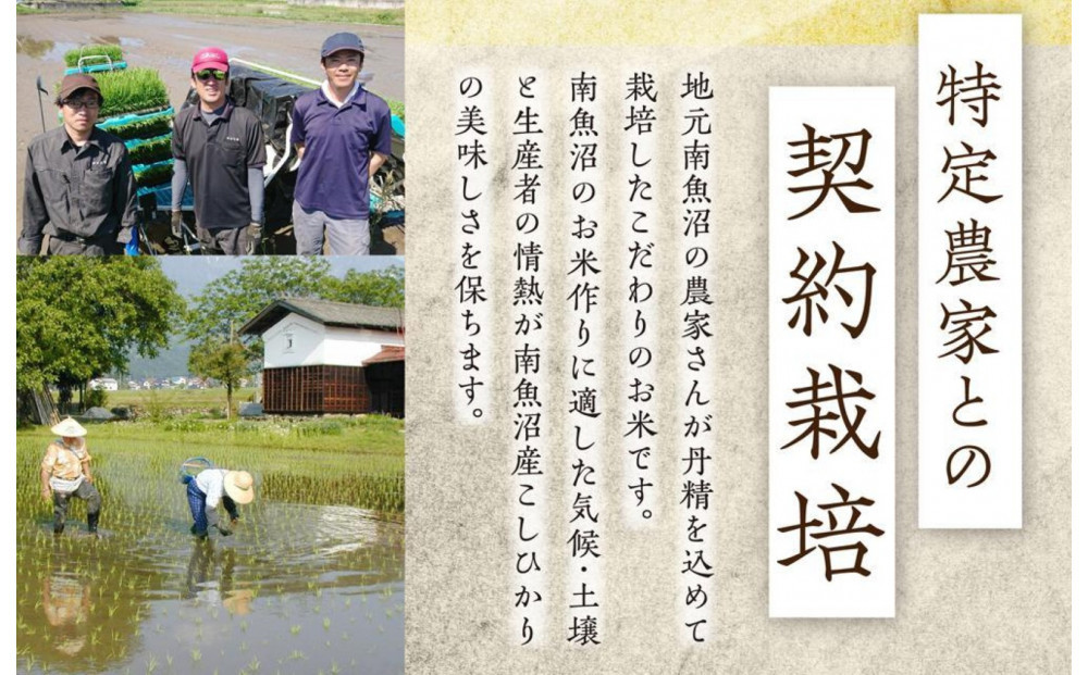 氷温熟成南魚沼産こしひかり　パックご飯180g×48