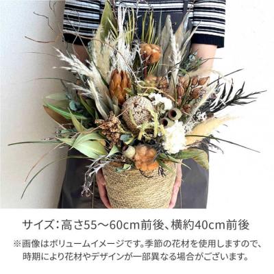 ふるさと納税 糸島市 バンクシアのアレンジメント(Mサイズ)糸島市/tokohana ドライフラワー [AOC036] |  | 03