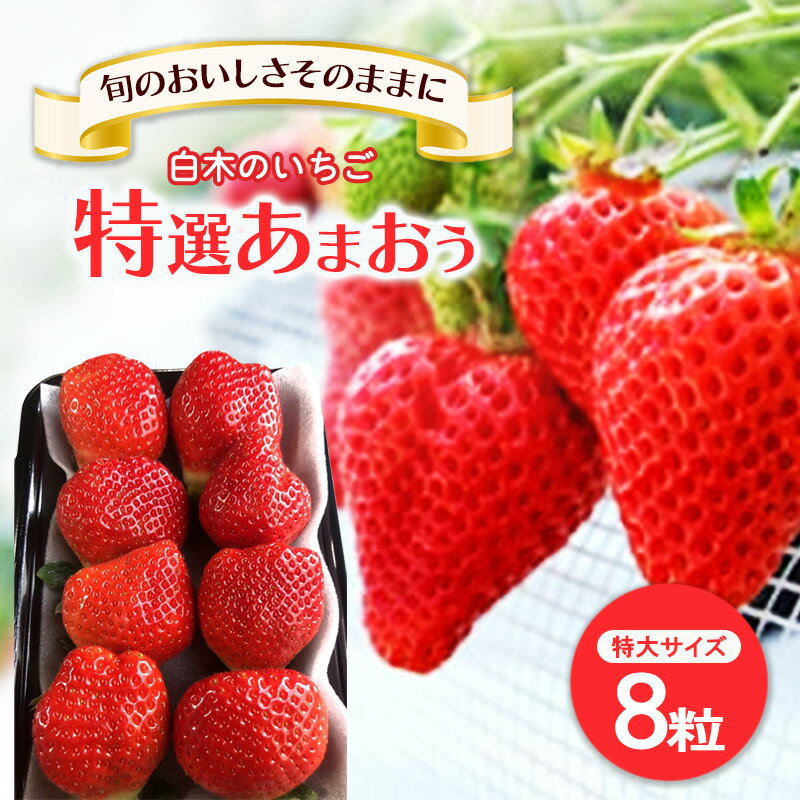 【ふるさと納税】いちご いちご職人直送 白木のいちご 特選 あまおう (特大サイズ) 8粒 イチゴ 苺 果物 デザート ※配送不可：沖縄・離島　お届け：2026年1月上旬～4月下旬