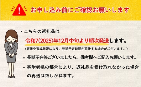 【先行予約】 【訳あり】サンふじ 【約5kg(11〜20玉）】 （2025年産） (7-A39-2) 長野県 飯山市 おすすめ ランキング おいしい 高評価 大人気  りんご リンゴ ふじ ふじ ふじ