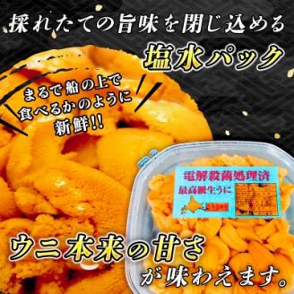 釧路町昆布森産　高級生うに100g＜エゾバフンウニ＞【2021年10～12月発送】【配送不可地域：離島】