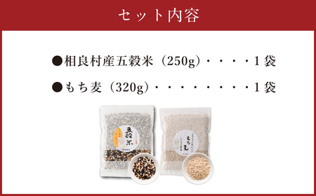 ヘルシー五穀米ともち丸麦セット 五穀米 250g×1袋 もち丸麦 320g×1袋 合計570g 雑穀米 雑穀 黒米 玄米 赤米 麦 もち麦 麦ごはん 麦ご飯 食物繊維 セット 常温 お取り寄せ 国産 
