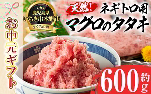 
            【令和7年お中元対応】ネギトロ用 マグロ の タタキ 冷凍 小分け 約600g(約200g×3袋) キハダマグロ・メバチマグロ 使用 マグロのたたき 自宅で ねぎとろ丼 鮪 ネギトロ ハンバーグにも! マグロ たたき まぐろ 赤身 まぐろ 小分け ふわっとした食感のまぐろ ネギトロ おさかなコーディネータもおすすめの マグロ たたき 【海鮮まぐろ家】 【TA-270H】
          
