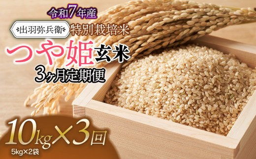 【令和7年産】【定期便3ヶ月】特別栽培米 つや姫 【玄米】 10kg（5kg×2袋）×3ヶ月　山形県鶴岡市産　出羽弥兵衛