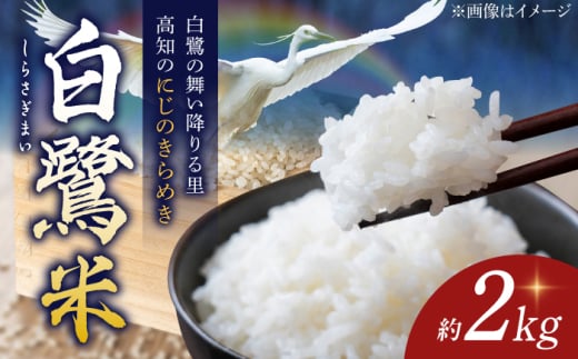 【先行予約】 農薬節減！ R7年度産 白鷺米 にじのきらめき 約2kg ＜2025年9月中旬〜発送＞ / 高知 米 お米 精米　【津ノ宮農園】 [ATBV003]