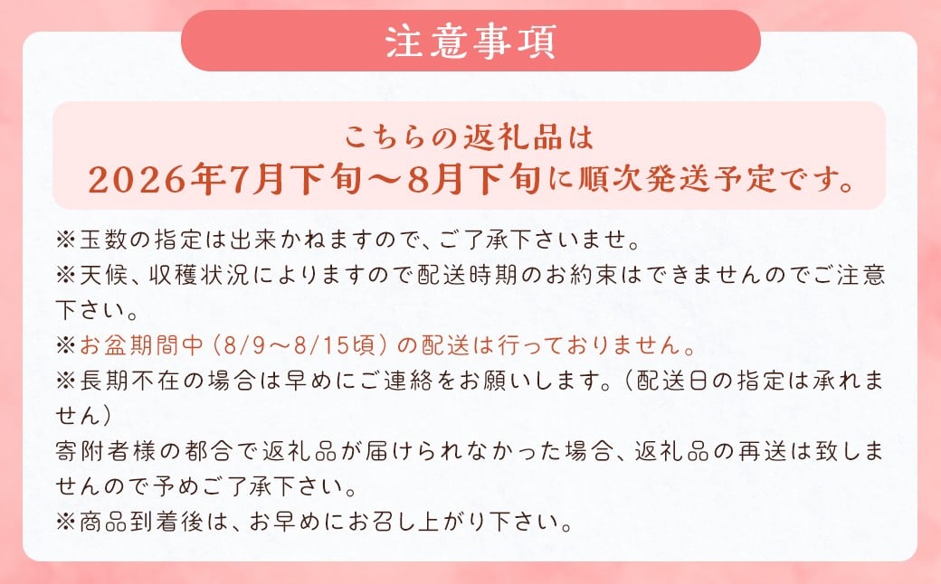 幸水梨 約3kg 5～8玉【2026年7月下旬から8月下旬発送予定】 ナシ 梨 果物 フルーツ 福岡県産