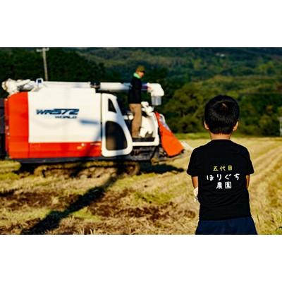 ふるさと納税 赤平市 【先行予約 令和7年産】ほりぐち農園直送のお米　精米したてゆめぴりか　5kg |  | 01