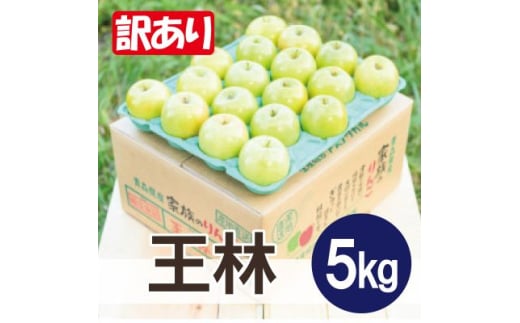 ＜26年5月より順次発送＞平均糖度13度以上! 王林 約5kg 訳あり CA貯蔵 クール便【1609594】