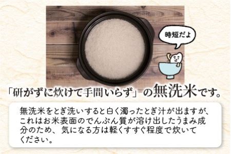 【令和7年産】 福井県のブランド米 いちほまれ 無洗米 4kg（2kg × 2袋） 無洗米 人気 品種 ブランド米 特A  [A-6174] 