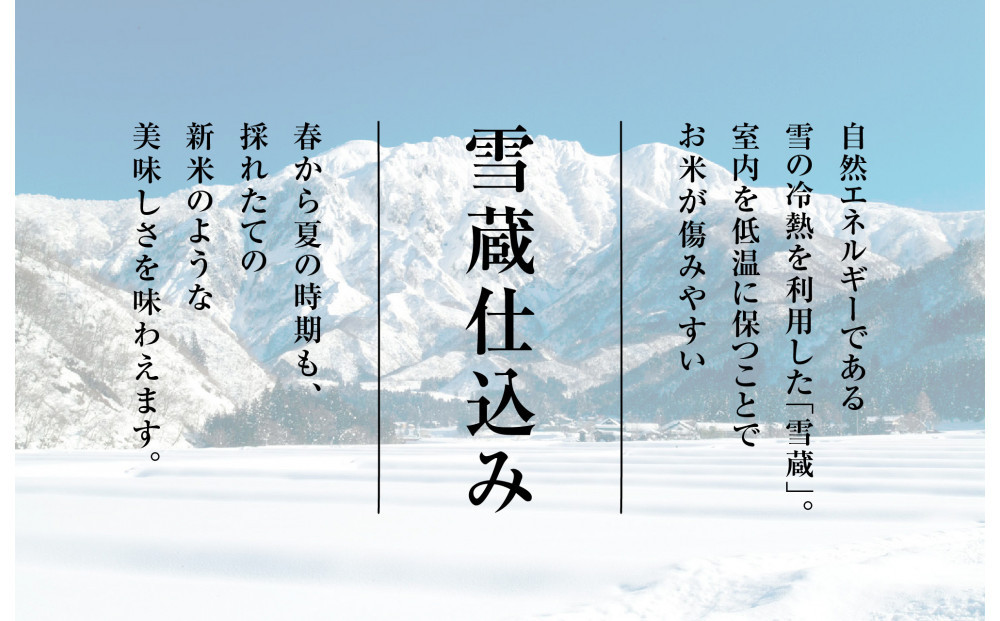【令和7年産　頒布会】雪温精法　佐渡産こしひかり10kg×6回