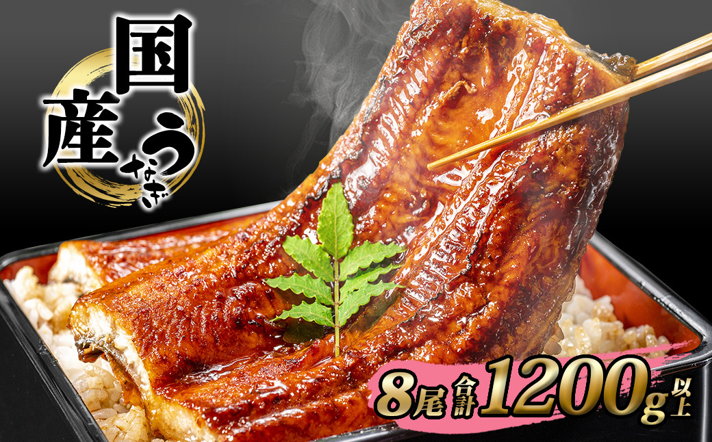 
            K2393 【丑の日までにお届け!!】 国産 うなぎ 蒲焼き 境町秘伝のタレ 4度焼きあげ 8尾 計1,200g以上 簡易包装 タレ 山椒 付き
          