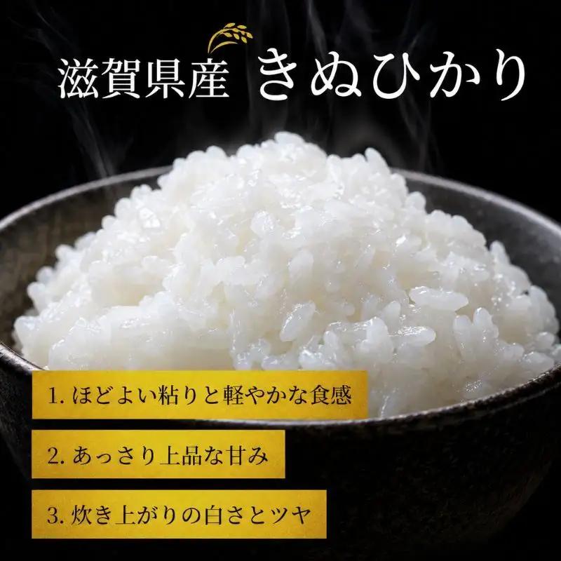 【令和8年産】 先行予約 新米 きぬひかり 白米 5kg 米 精米 こめ コメ お米 ご飯 キヌヒカリ 5キロ 令和8年 令和8年度産 令和八年 令和八年産 滋賀県 豊郷 豊郷町