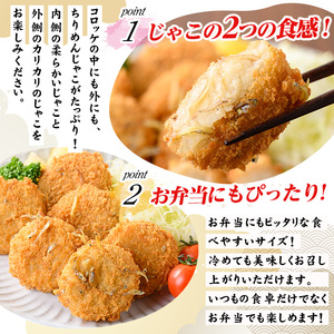 じゃころっけ(計48個)鳥取県 コロッケ ちりめん おかず 惣菜 小分け 揚げるだけ 簡単調理 便利 冷凍【sm-CD006】【羽根】