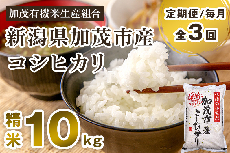 
【定期便3回毎月お届け】【令和6年産新米先行予約】新潟県加茂市産コシヒカリ 精米10kg（5kg×2）白米 加茂有機米生産組合 定期便
