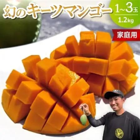 【2026年8月下旬から順次発送・家庭用】みなとばる農園の幻のキーツマンゴー1.2kg(1～3玉)【配送不可地域：離島】【1699828】