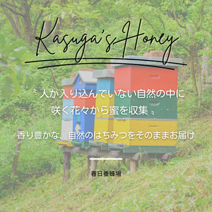 国産はちみつ300g 2本セット 2025/9/19～