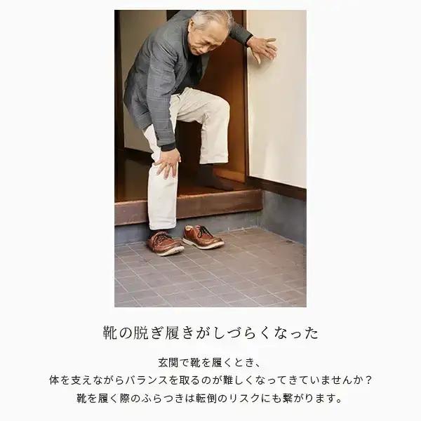 国産い草の玄関踏み台 W60 耐荷重100kg 燕三条 【055S023】