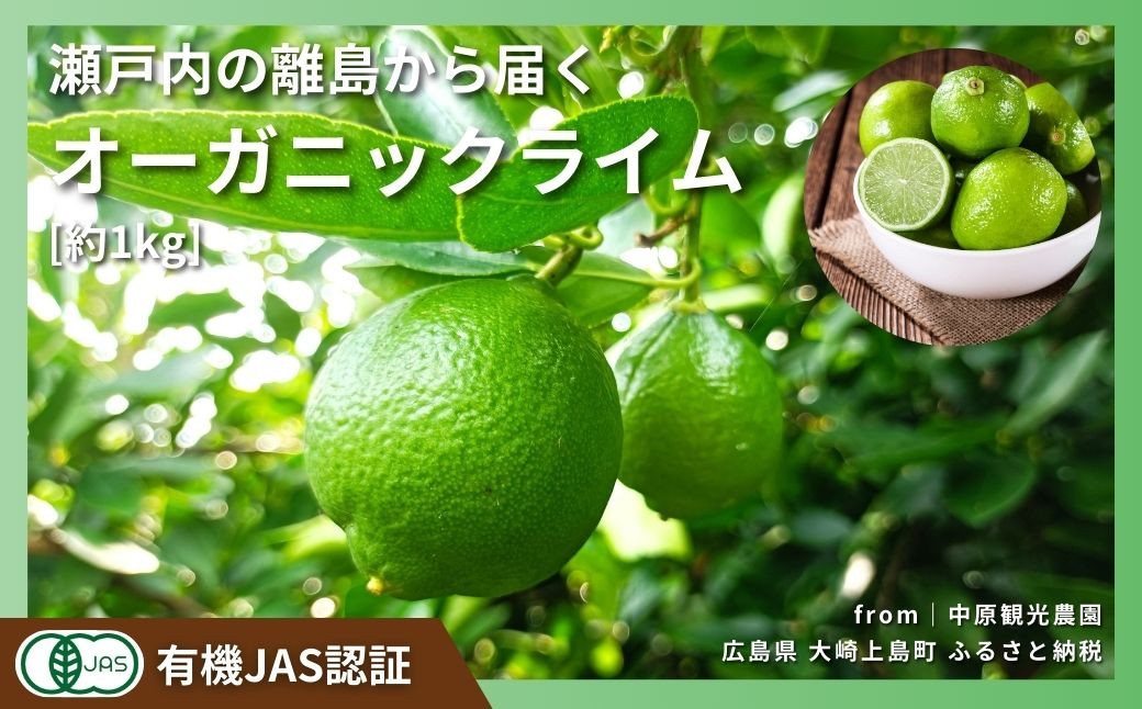 
            [予約] 9〜10月発送 大崎上島産 有機JAS認証！オーガニックライム 約1kg
          