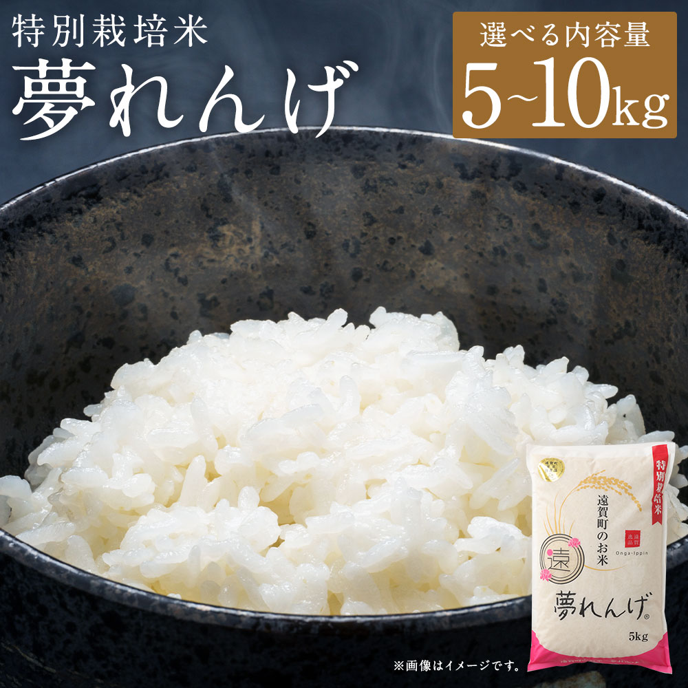 【ふるさと納税】【令和7年産】特別栽培米 夢れんげ 〈選べる〉 5kg または 10kg 1袋あたり5kg 1袋 2袋 夢つくし 元気つくし 精米 白米 お米 米 ごはん ご飯 福岡 遠賀町産 九州産 国産 送料無料