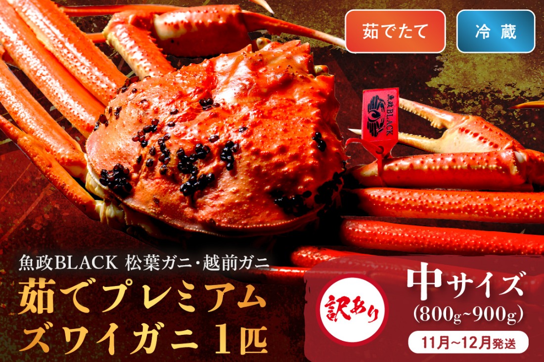 訳あり　【蟹の匠 魚政】茹で　プレミアムズワイガニ 魚政BLACK（松葉ガニ・越前ガニ） 中サイズ（800～900g） 1匹(11月～12月発送)　UO01312