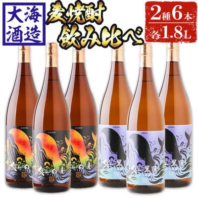 ふるさと納税 垂水市 大海酒造　麦焼酎 1800ml×6本セット　E5-2584