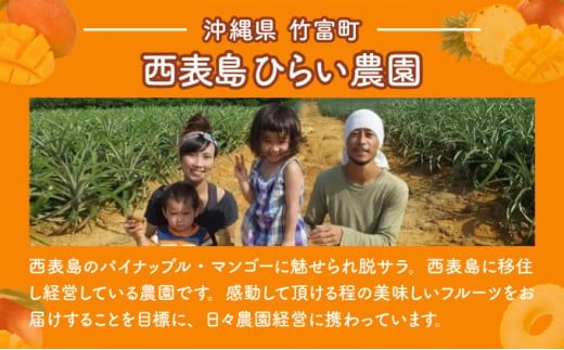 2026年 先行予約 アップルマンゴー 約700g 2玉 西表島ひらい農園 マンゴー 果物 フルーツ 約700g（2玉）