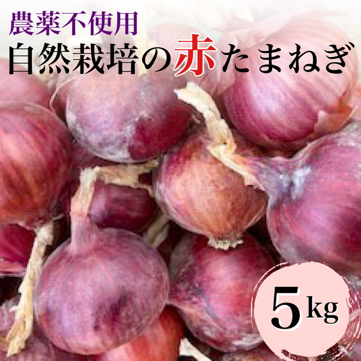 【先行予約】赤たまねぎ 5kg 京都府・亀岡産 自然栽培のかたもとオーガニックファームよりお届け ※2025年6月頃より順次発送予定 ※離島への発送不可