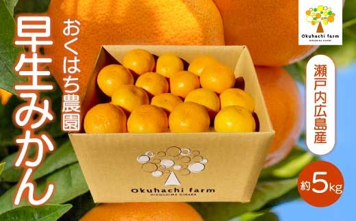 【おくはち農園】早生みかん 5kg 《2026年11月中旬～下旬発送予定》栽培期間中 防腐剤 ワックス 不使用 旬 柑橘 かんきつ フルーツ 果物 瀬戸内 166002