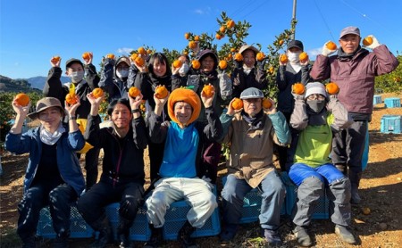 先行予約【2024年11月中旬より順次発送】陽だまりファームの早生 三ヶ日 みかん 3kg 1箱