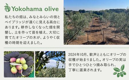 横浜オリーブ　エクストラバージンオリーブオイル　100ml