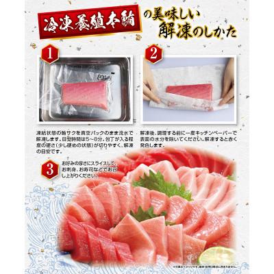 ふるさと納税 新宮市  和歌山県串本産　本マグロ(養殖)トロ&赤身セット　240g(冷凍) |  | 03